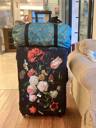 Чемодан, пылезащитный контейнер, пылезащитная крышка, защитный чехол, водонепроницаемые эластичные гидрогелевые шарики, Германия, 20 дюймов, 24 дюймов, 28 дюймов, 30 дюймов