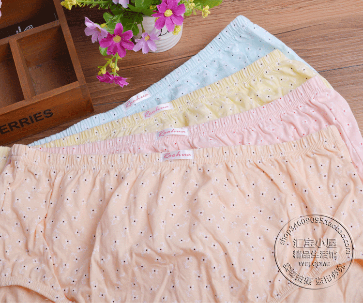 2 hộp cotton huahua đồ lót nữ eo cao cỡ lớn đơn giản cotton thoáng khí chống dị ứng quần tam giác nội y đẹp