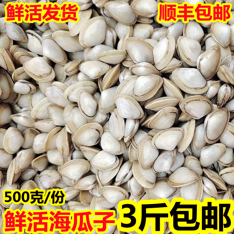 Fresh sea melon seeds, fresh sea-caught, sand-free, 3 pounds, free shipping