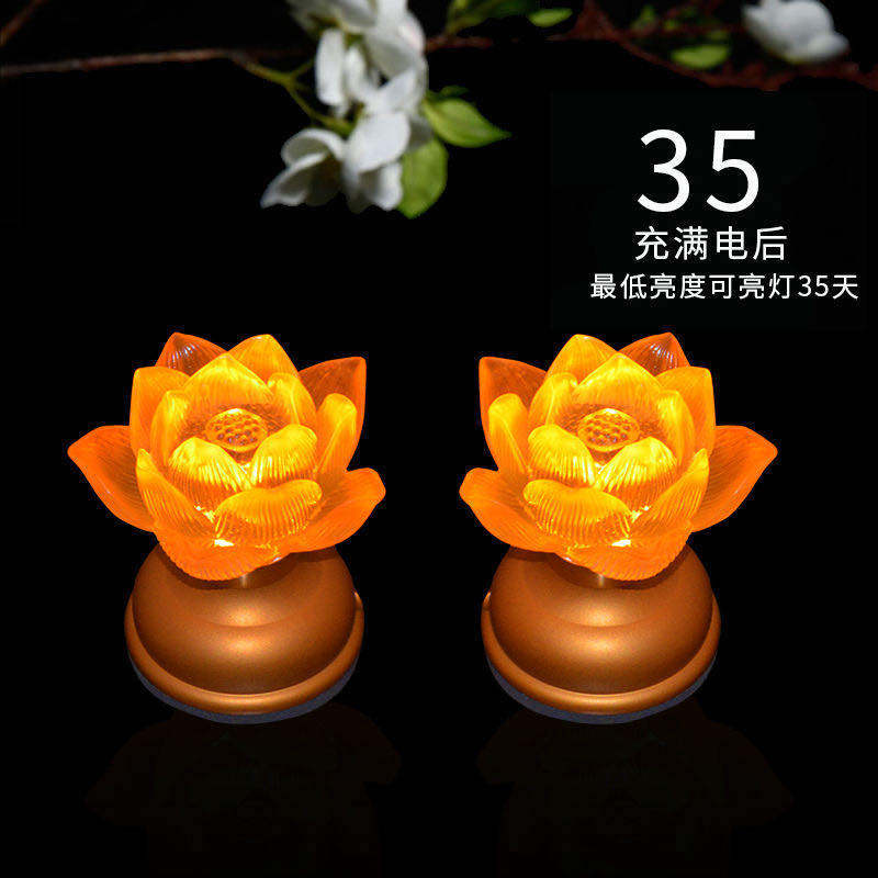 Charging for Buddha Lotus Lamp Lucky Lamp Crystal Household Lotus Lamp led Long-life Lamp Copper Base Organs New