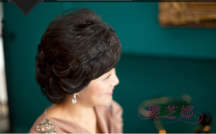 Perruque OTHER   cheveux courts - Ref 2608717 Image 20