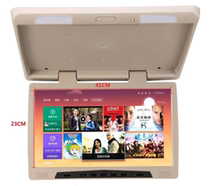 Car Android ceiling TV modified screen mobile phone Cast screen MP5 new car 19 inch HD display