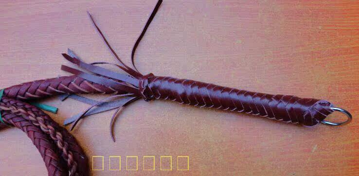 Article sports equestres - Ref 1381146 Image 5