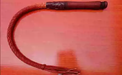 Horsewhip whip tune whip defense whip training dog whip equestrian whip training dog whip movie props whip