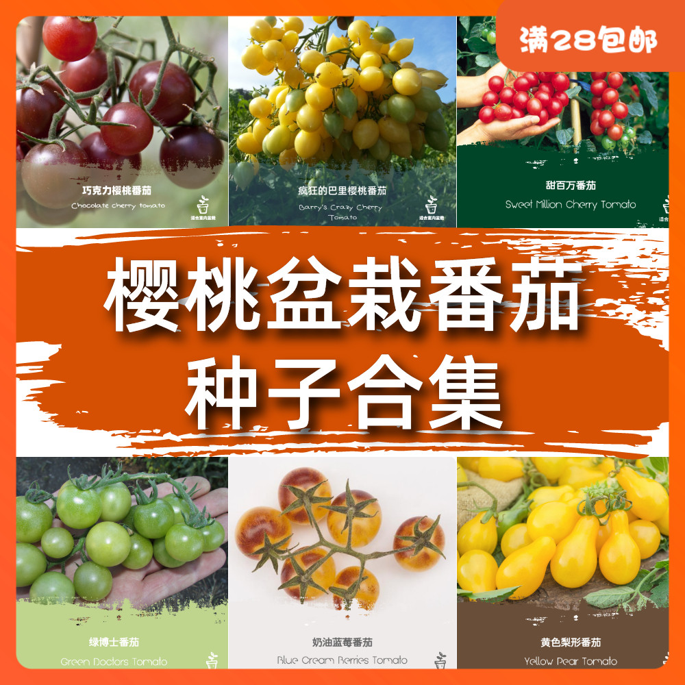 Family Heirloom Tomato Seed Vinegar Chestnut Cherry collection Taiwan farmfriend Millennial gold pearl Potted fruits and vegetables fruits and vegetables