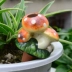 Thiết bị làm vườn châu Âu, thiết bị tưới nước bằng gốm, thiết bị tưới nước tự động, bình tưới, bình tưới, bình tưới - Nguồn cung cấp vườn chậu đất nung trồng cây Nguồn cung cấp vườn
