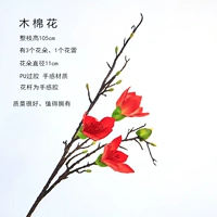 Один Пу Капок