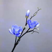 Ветвь Эмурии (синий)