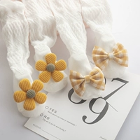 Группа чулок комаров