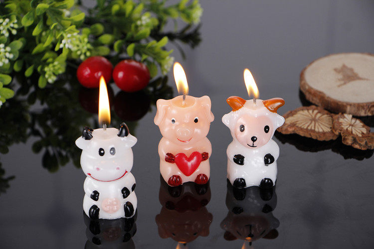 Bougie - Ref 2493804 Image 11