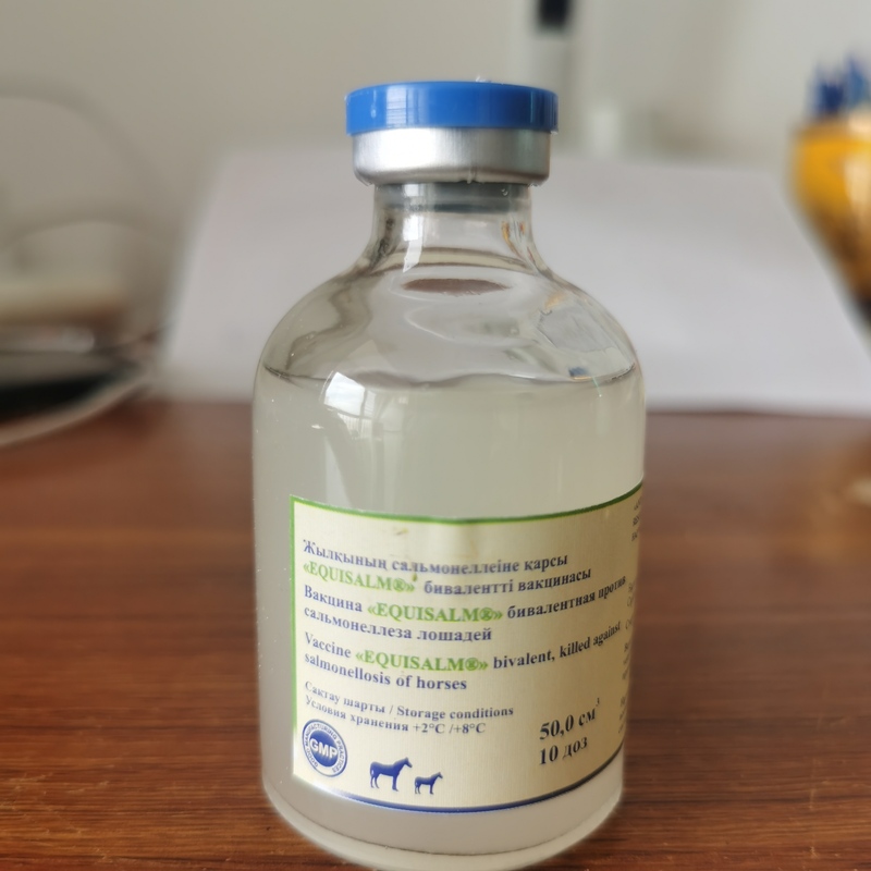 Salmonella Vaccine for Horses Prevents Miscarriage in Pregnant Mares, 50ml, 5ml Per Horse