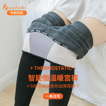 Warm double leggings women thick plus velvet winter magnetic therapy warm Palace fever constant temperature black foot high waist warm