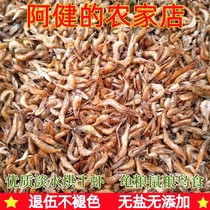 淡水鱼干无盐烘干小虾干河虾干龟粮鼠粮水龟巴西乌龟饲料龟食