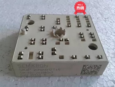 Disassembly SKKIP20NAB12T45 SKIIP22NAB12T45 SKIIP20NAB12T17