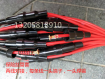 Fuse holder with wire 25 cm long fuse 6*30mm wire diameter GB 0 75 square two-end solder