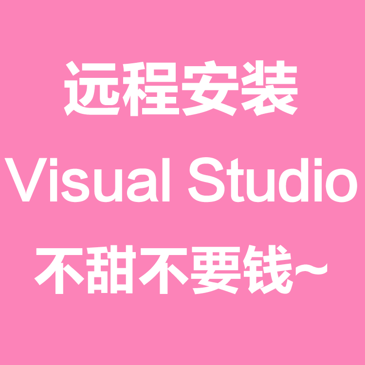 visual studio vs 2005 2008 2010 2013 2015 2017 9 Software remote installation