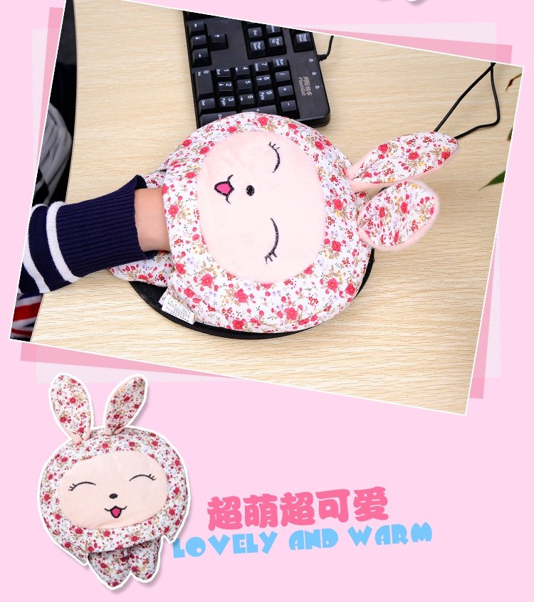 Coussin chauffant USB Le Japon et la Corée du Sud - Ref 426600 Image 21