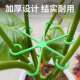 Monstera Plant Support Frame to Prevent Toppling, Spring Leaf Plant Stand, Branch and Stem Organizer, Flower Pot Stand, Gardening Flowers, Caladium Green Plants