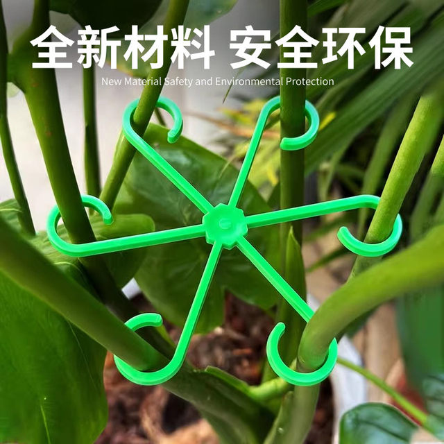Monstera Plant Support Frame to Prevent Toppling, Spring Leaf Plant Stand, Branch and Stem Organizer, Flower Pot Stand, Gardening Flowers, Caladium Green Plants
