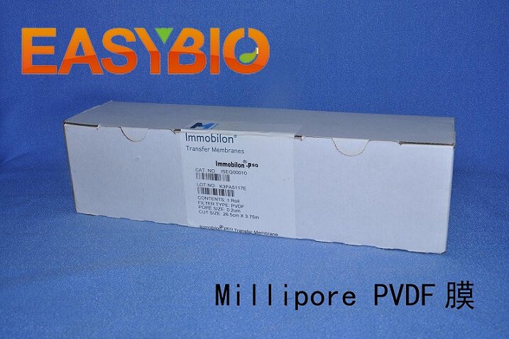 柏 热销 Immobilon PVDF膜 货号IPVH00010 密理博 原装 进口 耗材