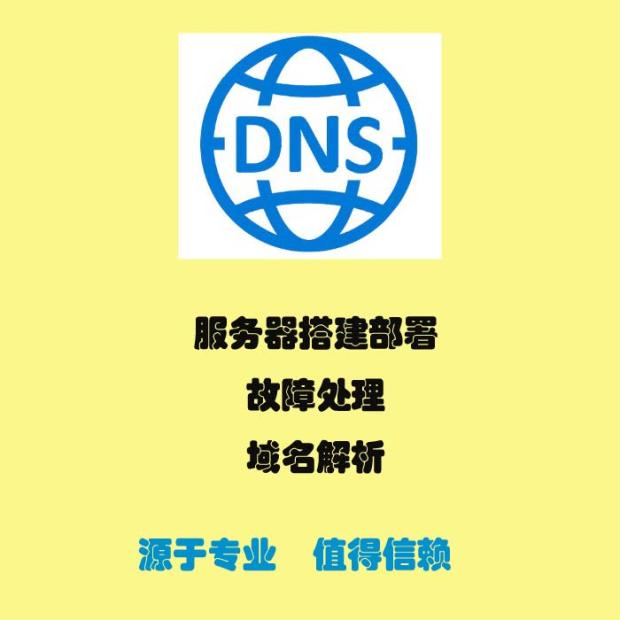 DNS Server Setup DNS Server Troubleshooting Domain Name Resolution Service DNS Server Deployment