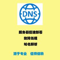 DNS Server Setup DNS Server Troubleshooting Domain Name Resolution Service DNS Server Deployment