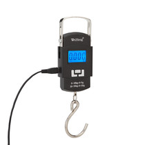 Weiheng e-Libra A25 express called usb charging section 55 kg portable home shopping luggage scale
