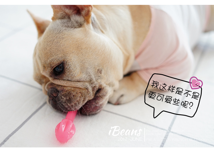 Đài Loan hương vị trái cây sạch răng chó chó răng hàm nhai chó sạch răng xương chó con chó lớn chó cưng ganador puppy