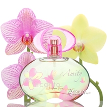Ferragamo Filagmunadu dream ladys perfume AMITY 30 50 100ml