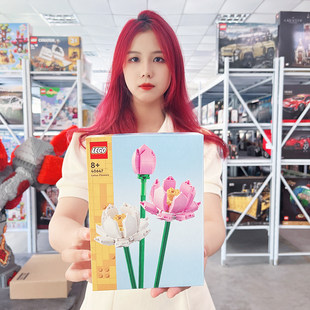 LEGO лего Раздел 40460 роз 40524 роуз 40647 40648 10343 10349 строительные блоки