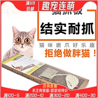 FUN PET MENG/PET SWERS Крысы Ratan Cat Besting Best Mutianya Pet Cat Cat Cat Cat
