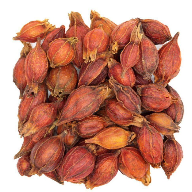 Gardenia 2 jins wild gardenia fruit tea mountain gardenia branch yellow gardenia red gardenia powder Chinese herbal medicine 500g