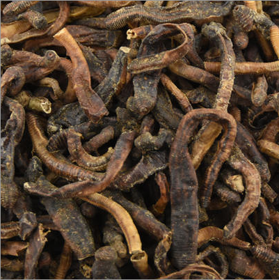 There are belly earthworms dry with earth earthworms Guangda earthworm dry earthworms 500g grams of primary agricultural products