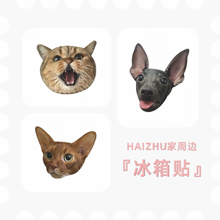 Haizhu Series Peripheral Magnetic Stickers Cat Magnets HD Acrylic Decoration Juanzi Fruit Gifts