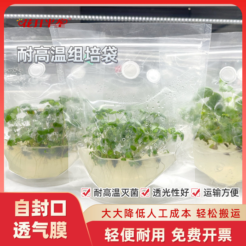 花开半垄 耐高温组培袋组培塑料耐用自封口带透气膜育苗袋高温