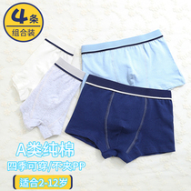 Boys underwear childrens underwear mens boxer pants cotton middle child baby shorts girl underwear boxer pants
