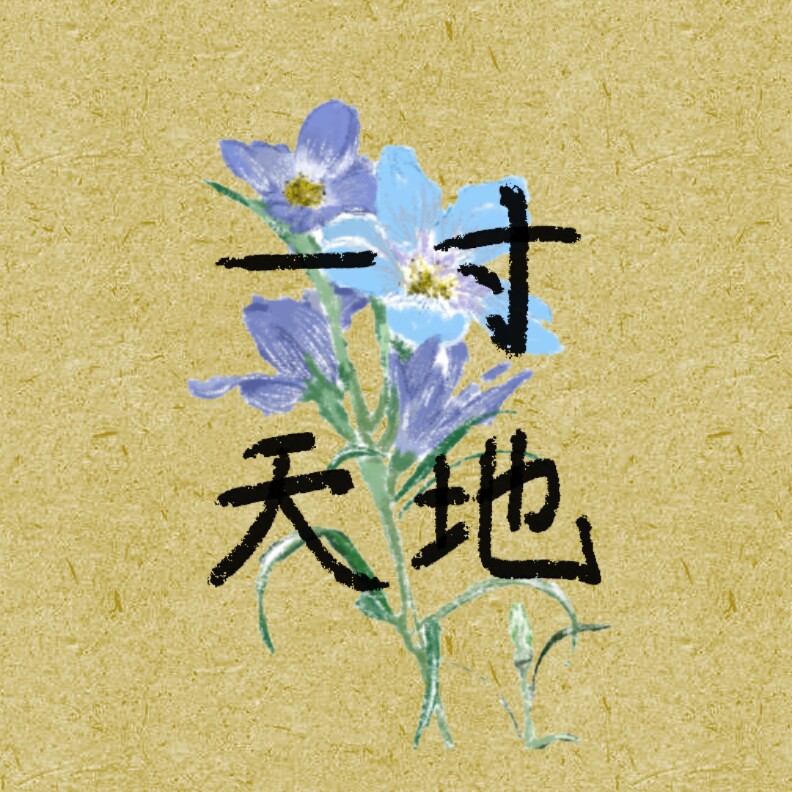 一寸天地