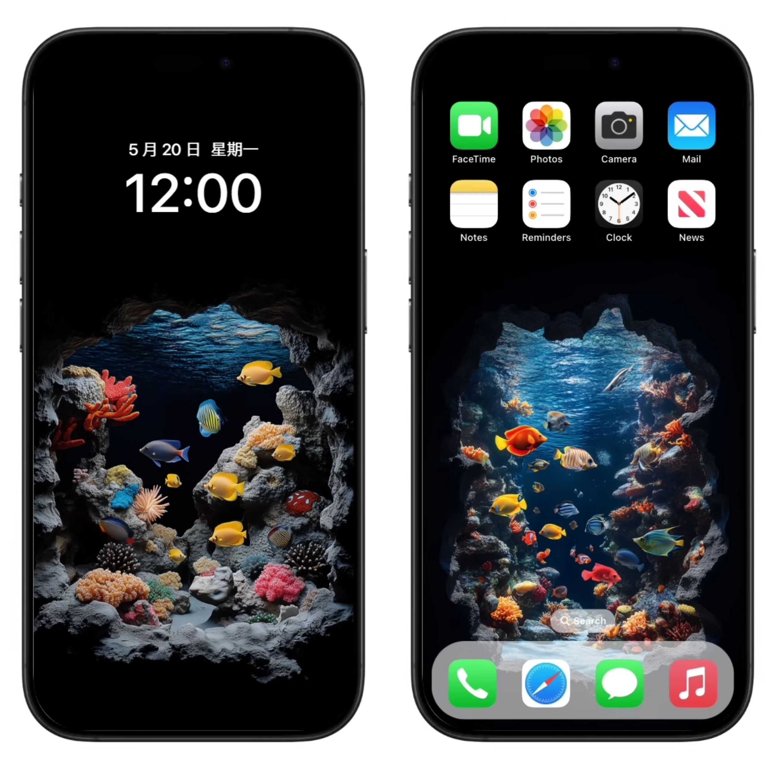 动态壁纸 | 水族馆 |1张苹果动态壁纸+7张手机静态4K高清