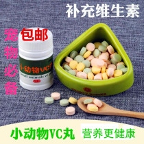 Dutch pig guinea pig rabbit pet fruit VC tablet supplement vitamin pet favorite
