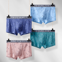 Modal underwear mens pure cotton boxer loose summer thin section breathable large size shorts ice silk youth boxer pants