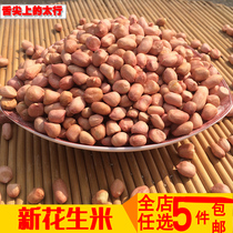2019 New peanut farmer white skin raw peanut Self-growing peanut peeled peanut kernels 500g