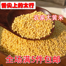 Farmhouse rhubarb rice 500g millet rice non-small yellow rice sticky yellow rice glutinous millet boiled porridge steamed rice