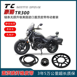 Haojue TR300 DR300 DR300 체인 사슬 디스크 업그레이드 수정 된 벨트 전송 전면 및 후면 풀리 키트에 적합합니다.