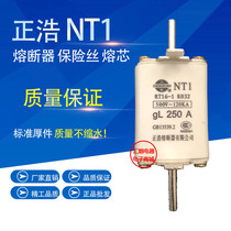 Positive hot ceramic fuse melt core NT1 RT16-1 RT16-1 RT20 160A R032 200A 250A fuse