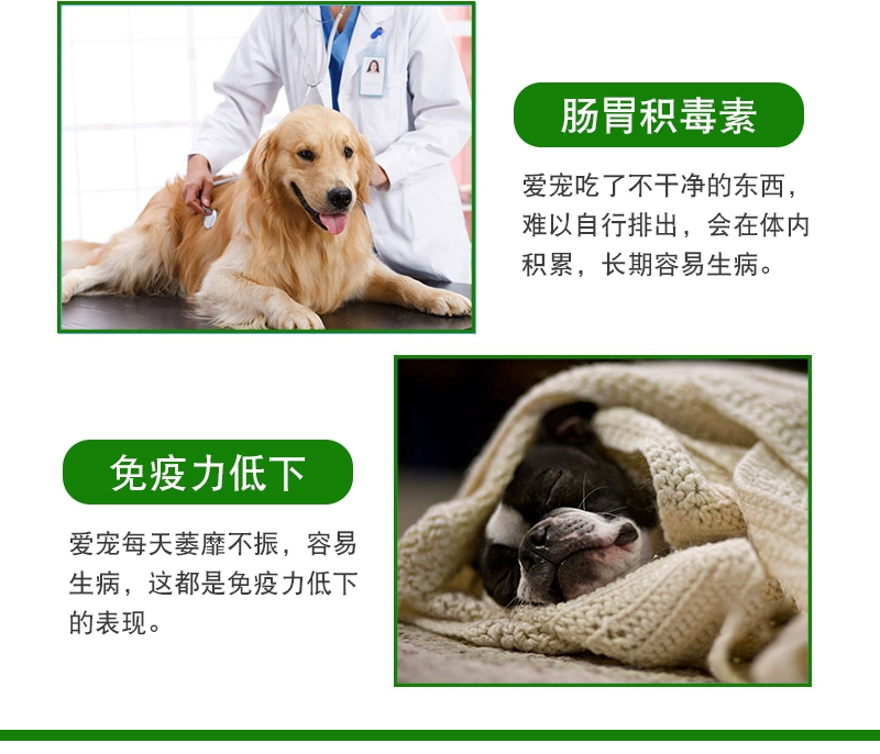 Beichang Ning Taidi Jinmao Bomei Pet Viêm dạ dày ruột Nhiễm trùng đường ruột Nôn mửa tiêu chảy - Cat / Dog Medical Supplies