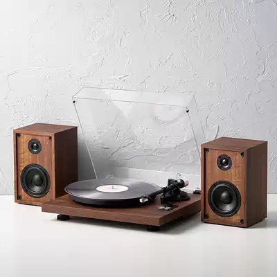 SYITREN SAI TARIN KOIVU VINYL RECORD MOBILE MAGNETIC PROFESSIONAL