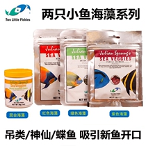 American two small fish Green red purple seaweed feed new fish mouth mixed seaweed