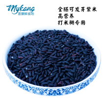 Ink Jiang Purple Rice Purple Glutinous Rice Positive blood glutinous rice black glutinous rice All-germ brown rice New rice 2 catties of rice paste rice flour special