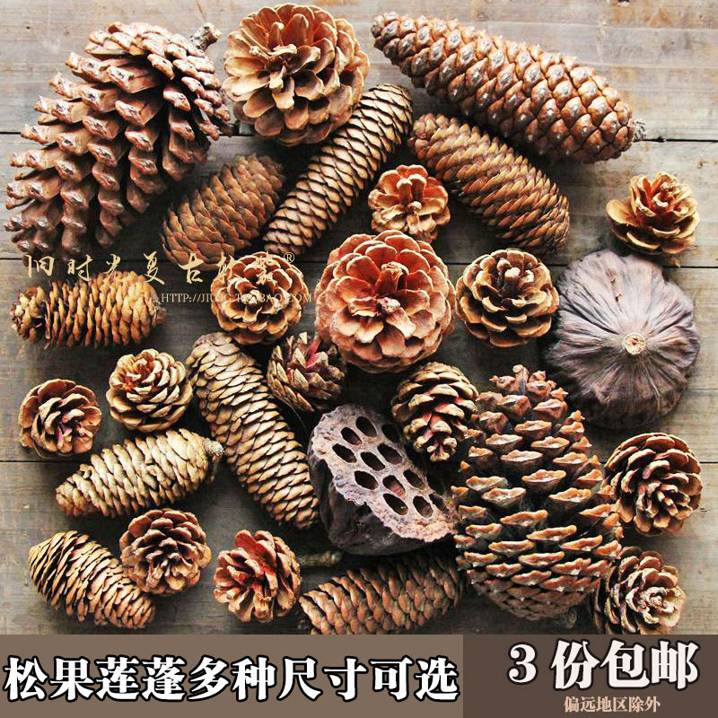 Naturally Grown Pine Cones, Pine Cones, Lotus Pods, Dried Flowers, Local Pine, American Pine, Fish Scale Pine, Kindergarten Decoration, Photography Props