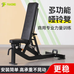 Professional Gym Equipment: Hammer Fitness Chair, Dumbbell Bench, Commercial Bird Press Bench, Home Fitness Equipment